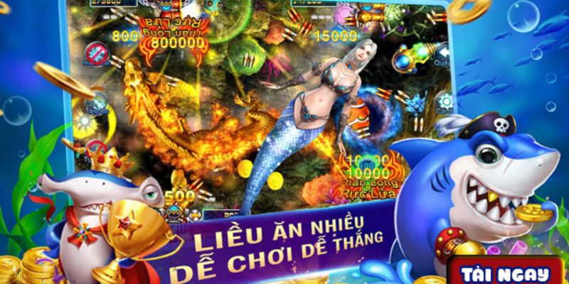 Tại sao Bắn Cá Bingo lại trở thành trò chơi hot nhất tại King33?